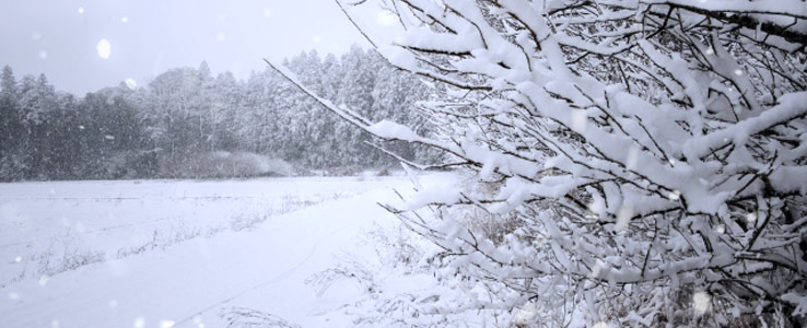 寒仕込みとは？