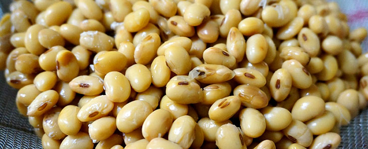 スーパーのゆで大豆を使って味噌はつくれますか