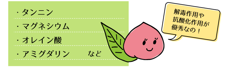 桃の葉の栄養素