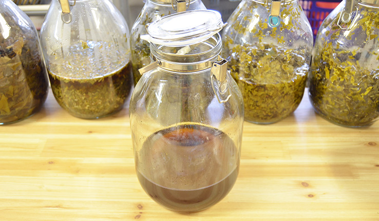 桃の葉エキス完成