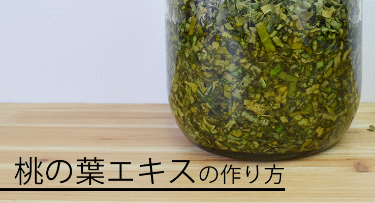 桃の葉の作り方