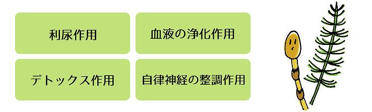 スギナの効能