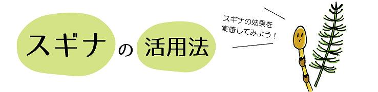 スギナの活用法