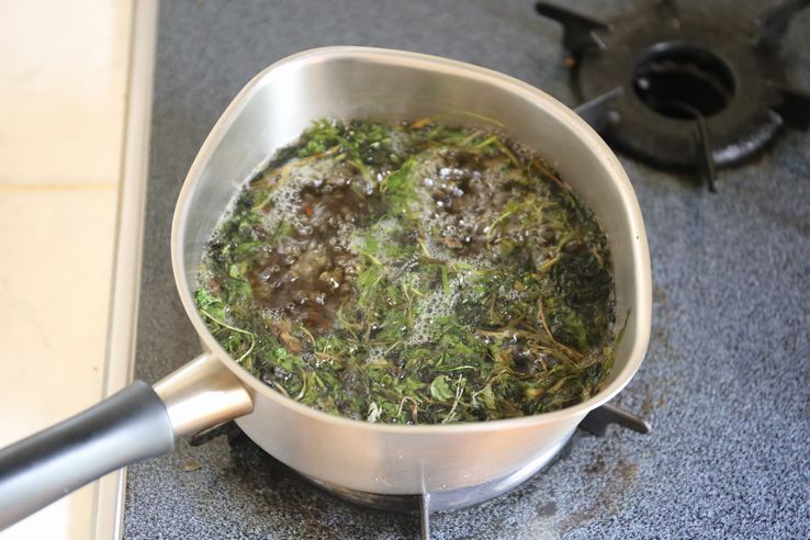 よもぎ蒸しとは