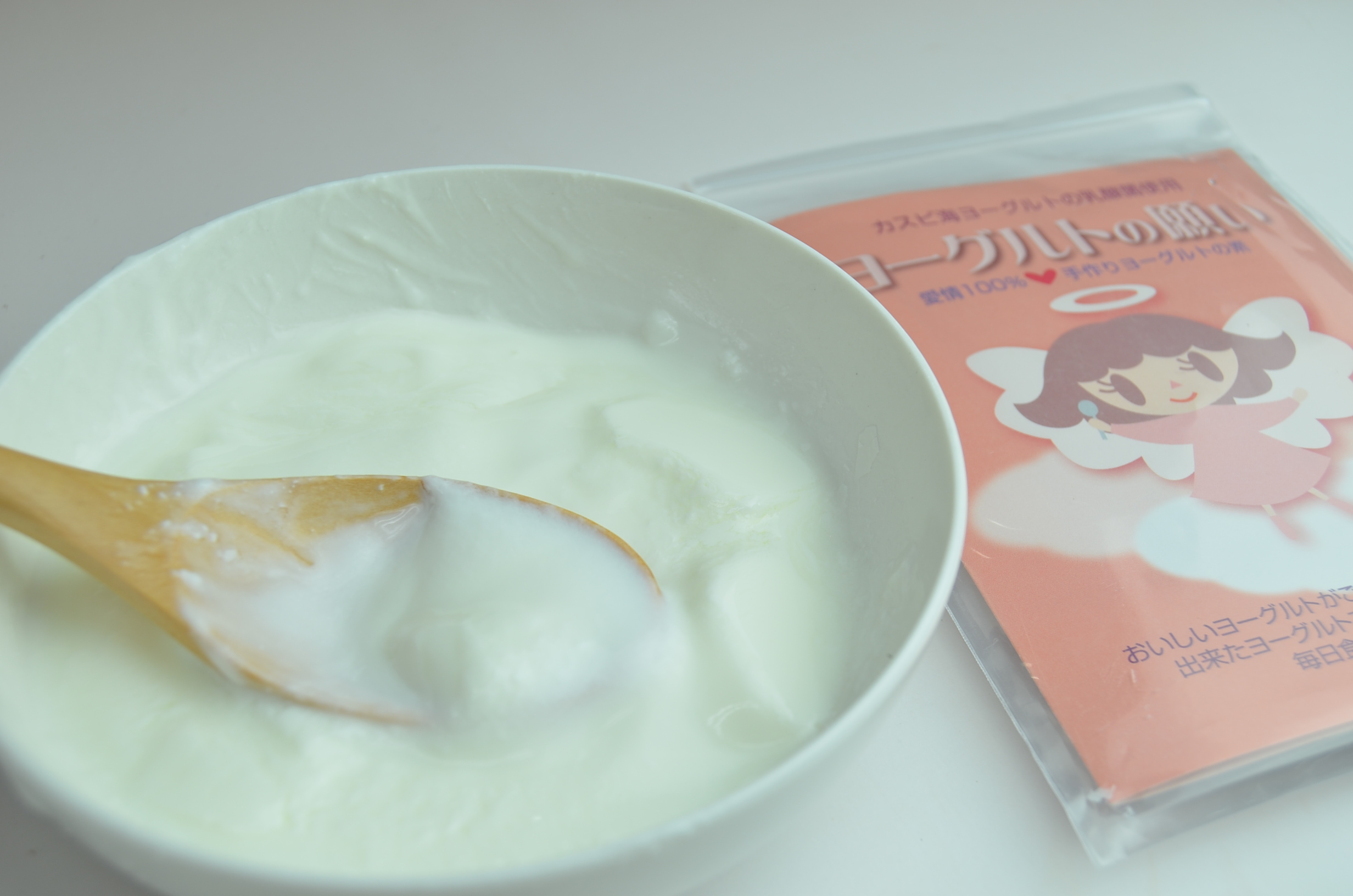 ヨーグルト　種菌　比較