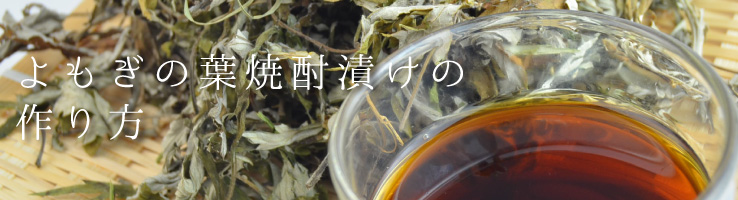 よもぎの葉焼酎漬けの作り方