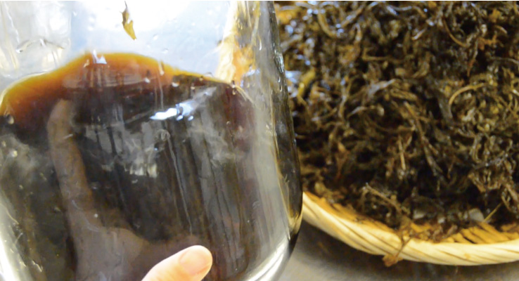 2～4ヶ月たつと、茶色の液体ができる