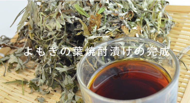 よもぎの葉焼酎漬けの完成